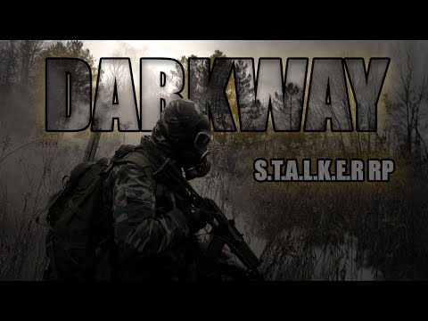 Видео: ПРИКЛЮЧЕНИЯ ЛЕГЕНДЫ ЗОНЫ №8 | Аукцион | STALKER RP DARKWAY