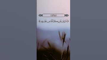 اللهم اجعل القرآن الكريم ربيع قلوبنا