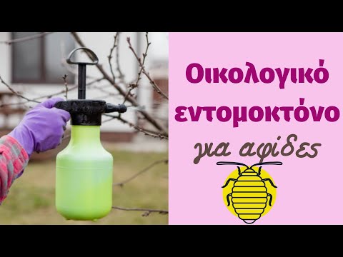 Βίντεο: Χρήσεις λαδιού Neem: Χρήση εντομοκτόνου Neem Oil στον κήπο