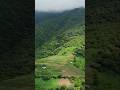 wonder place short viral *amazing short*###