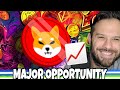 Shiba Inu Coin | SHIB Is Falling, But Those Who Remain Optimistic Will Be Successful