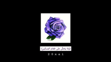 سورة الماعون🕊💜 | ماهر المعيقلي