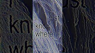 confused about your feelings ✦ #angel #underground #sadcore #music