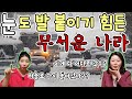 눈도 발 붙이기 힘든 무서운 나라!! 이게 다 어디로 갔지?? 하늘로 다시 돌아갔나?? ft.박통통TV