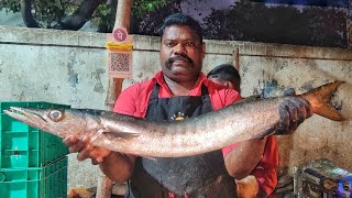 KASIMEDU 🔥 SPEED SELVAM | BARRACUDA FISH CUTTING VIDEO | 4K VIDEO | KM FISH CUTTING