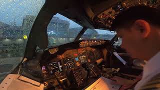 STRUGGLING TO LAND IN BAD WEATHER // BOEING 737-800