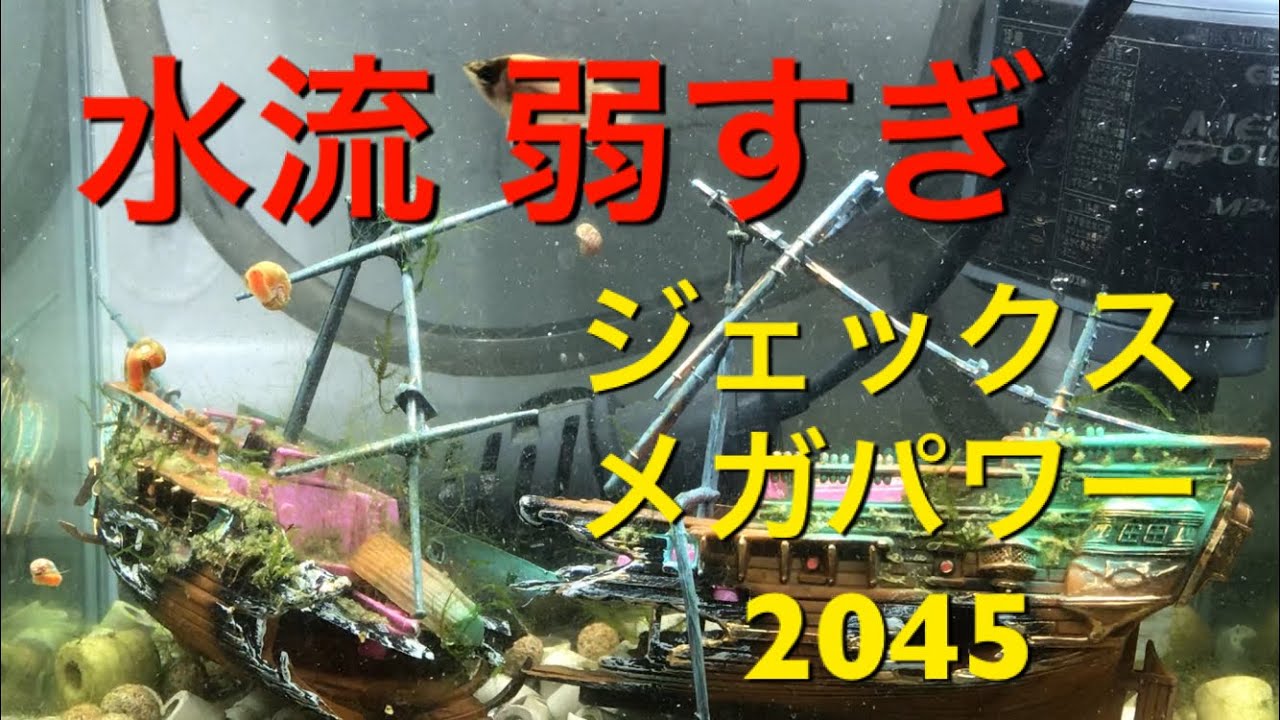 アクアリウム 外部フィルター メガパワー45メンテナンス Youtube