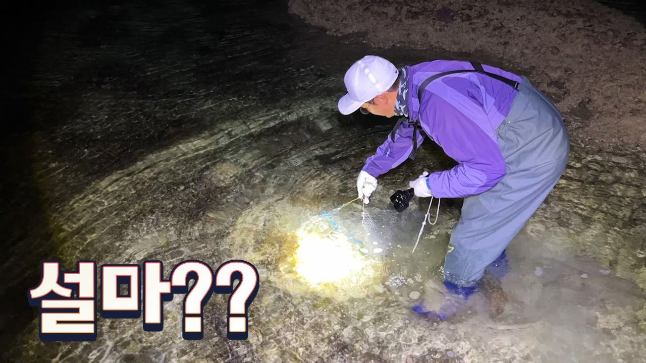 화려한 열대어부터 120cm 까지자라는 그루퍼까지? 여긴 신기한거 천지네요