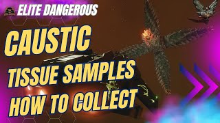 Collecting Caustic Tissue Samples & unlocking the caustic sink // Elite Dangerous