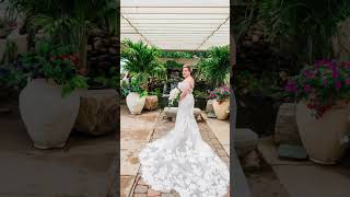 Wedding Day Photos