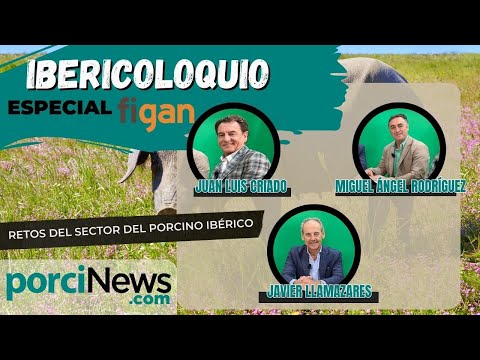 Ibericoloquio - Conversando sobre los retos del sector del Porcino Ibérico