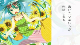 藤沢蝉爆弾