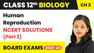 Human Reproduction - NCERT Solutions (Part 2) | Class 12 Biology Chapter 3 (2022-23)