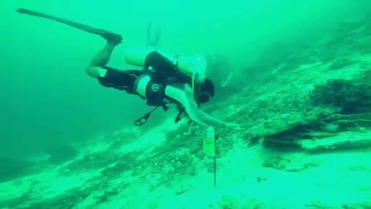 Research diving in the Philipphines