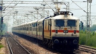 12059 Kota - Hazrat Nizamuddin Janshatabdi Express
Location: Sholaka, Haryana
11th September 2014, 1114 Hrs
Train: 12059 Kota - Hazrat Nizamuddin Janshatabdi Express
Locomotive: Tughlakabad(TKD) WAP-7#30376
After missing it on every trip to NZM-MTJ section from last 4 times, finally got to capture TKD WAP-7 led 12059 Kota - Hazrat Nizamuddin Janshatabdi Express skipping sholaka at MPS.
Wonder why IR havent certified this train to run at 120kmph, when all the resources are there. 12059 Kota - Hazrat Nizamuddin Janshatabdi Express