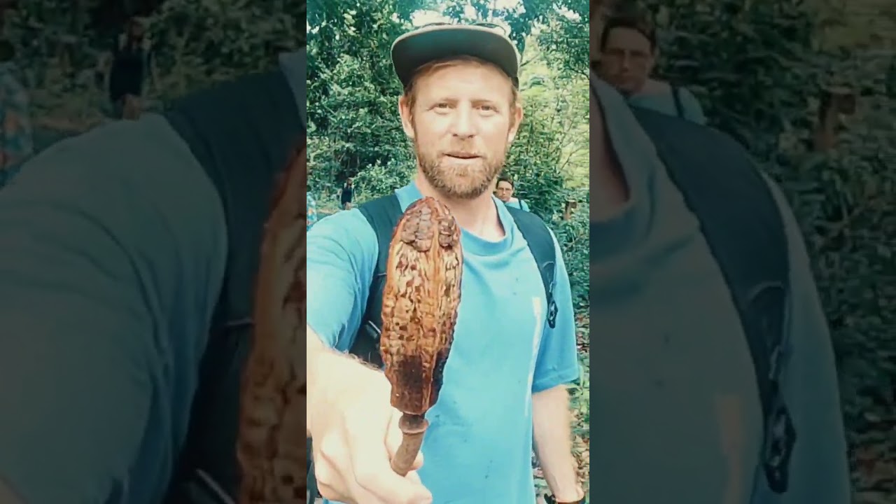 Серфинг на тропических островах! Сумбава  