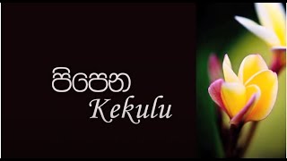 Ayati - Journey So Far...