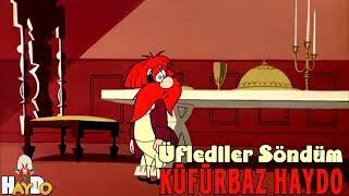 Küfürbaz Haydo - Üflediler Söndüm 2023 (Stüdyo Kaydı) #damar #türkü #dertlitürkülerdinle Resimi