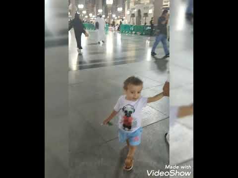 مصطفى مصطفى سيد الانبياء