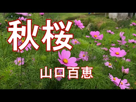【秋桜ー山口百恵】本人歌唱～カラオケ練習用／歌詞付き－原曲キー