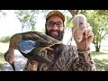 Public Teal Hunting Opening Weekend Kansas 2020 (Catch Clean Cook)