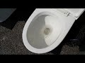 Toilet bowl Flush - Washdown or Siphonic