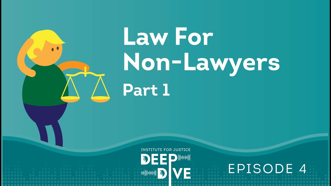 Law for NonLawyers Standards of Review YouTube