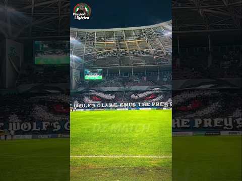 إبداع التراس الفاناتيك رادس شرح تيفو الذئب Ultras Fanatic Reds CRB