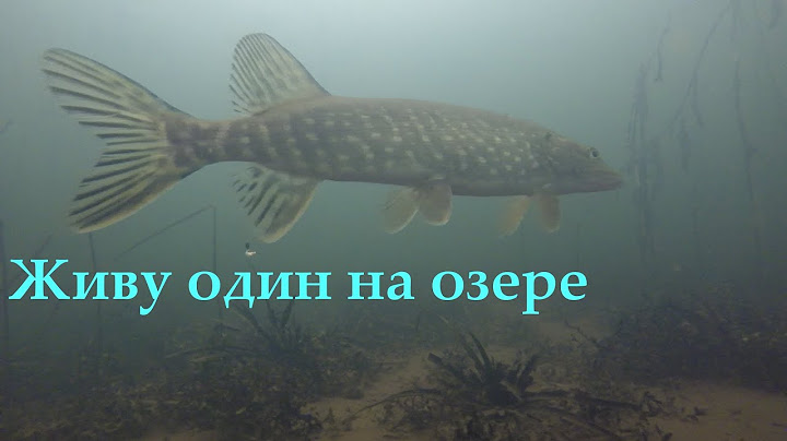 Один на озере. Сложилась палатка, ремонт мотособаки,попал в слуз. Жерлицы на щуку.