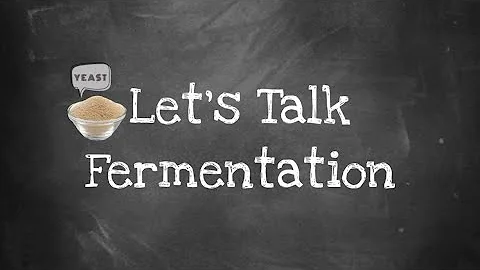 Let’s Talk Fermentation