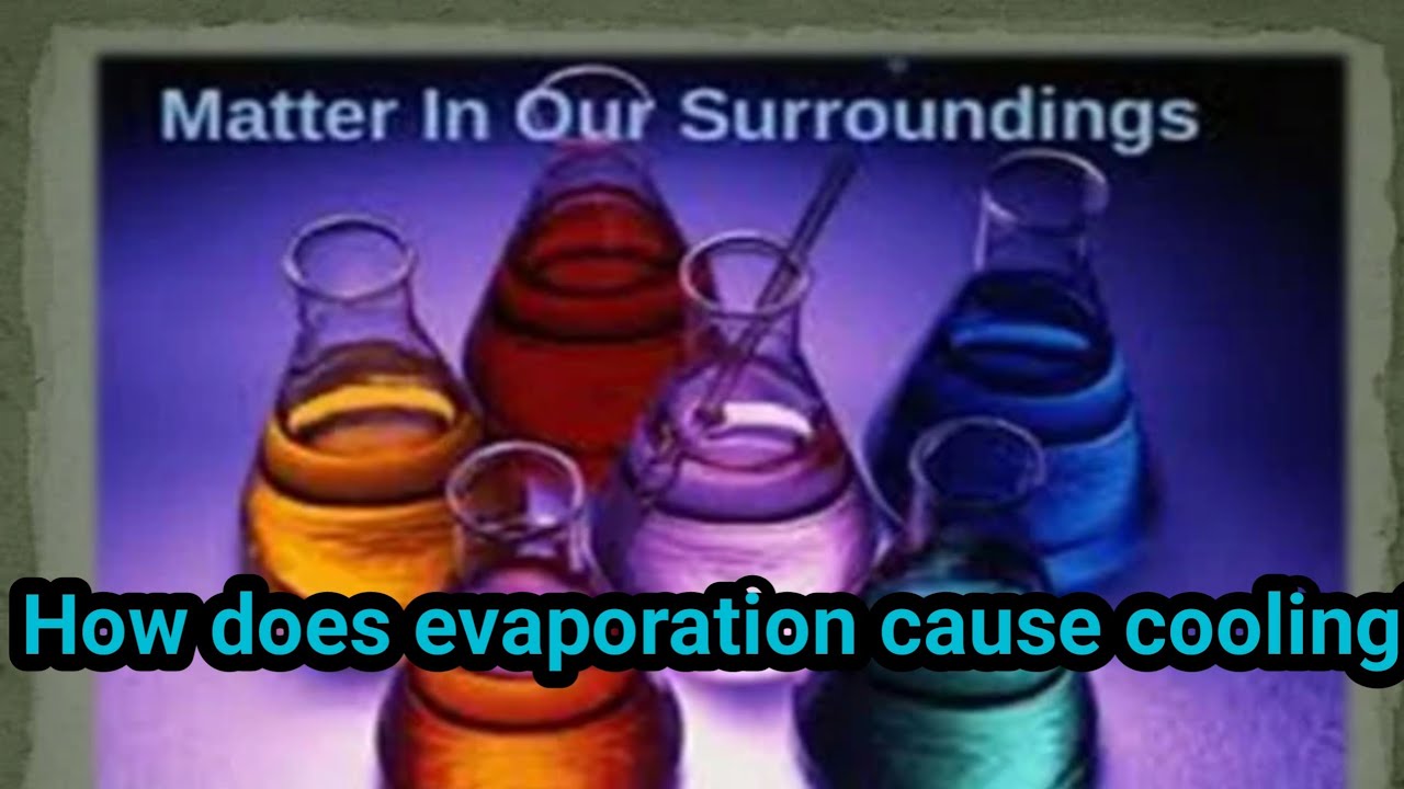 How does evaporation cause cooling. CLASS IX CBSE CHEMISTRY CHAPTER 1