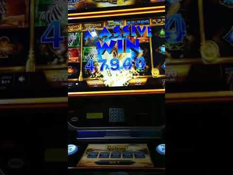 Live from American Place Casino!