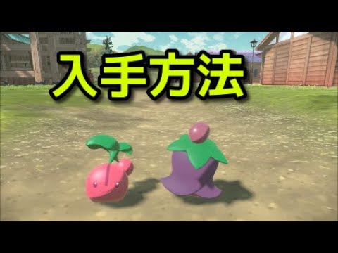 ポケモン アルセウス チェリンボ チェリム 入手方法 出現場所 捕まえ方 Pokemon Legends アルセウス Youtube