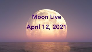 Moon Live, April 12, 2021