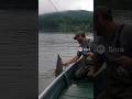 рибалка он не ожидал такого #интересно #рибалка #reaction #fishing