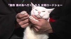 映画とドラマ 猫侍 ちゃんねる Youtube 映画とドラマ 猫侍 ちゃんねる Youtube