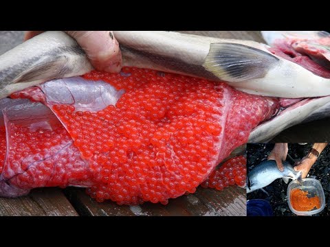 Video: Икра каймак соусундагы лосось