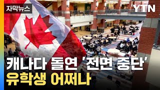 [자막뉴스] 이민자 급증한 캐나다, 돌연...한인들 사이 퍼지는 불안감 / YTN