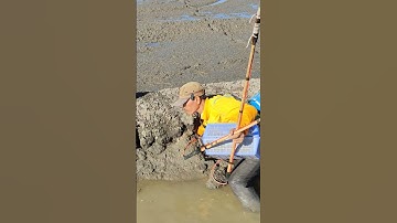 xiệt ếch mùa nước giật ếch nhiều thấy ham quá