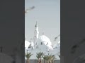 Mai bhe parda kro g 🥰😍 #amaizing #awesome #makkah #madinah #allahhuakbar