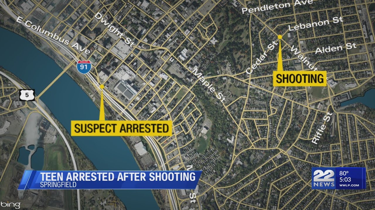 Teenager arrested in connection with Springfield shooting incident ...