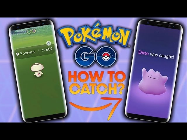 New Way To Encounter Ditto Revealed In Pokémon TCG - Pokémon GO