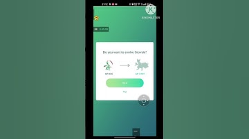 evolution of shiny treecko