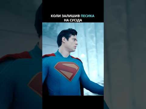 Коли повертаєшся додому і бачиш таке