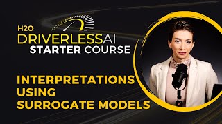 24. Interpretations using Surrogate Models / DAI Starter Course