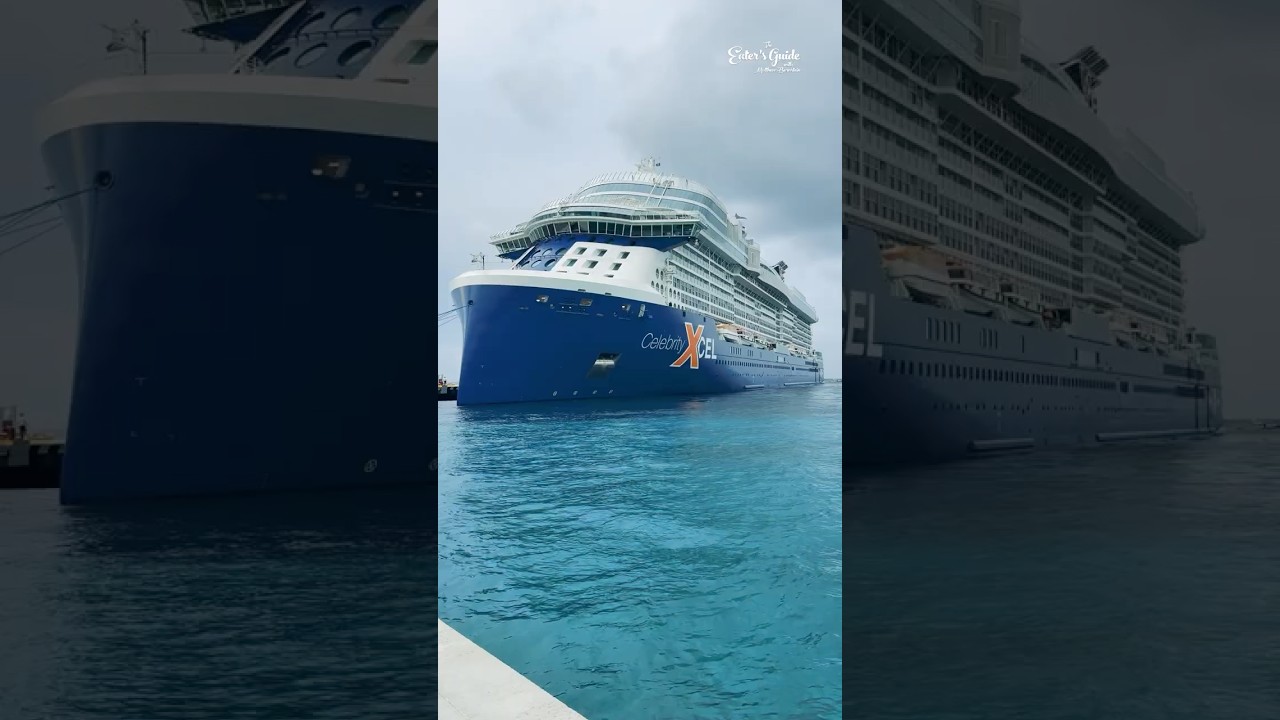 Cruise Hacks You NEED to Know 🚢 #CruiseTips #CruiseHacks #FirstTimeCruiser