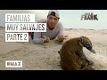 Wild Frank y animales con bebés: momentos tiernos | Parte 2 | Wild Frank