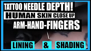 How To Tattoo For Beginners: Needle Depth Lining  Shading screenshot 5