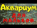 НОВЫЕ АКВАРИУМЫ ДЛЯ МАЛЬКА