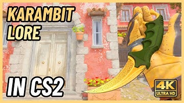 ★ CS2 Karambit Lore | CS2 Knife In-Game Showcase [4K]